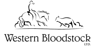 WesternBloodstock